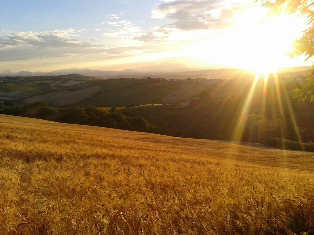 B&B La Collina Dorata Offagna Exterior foto